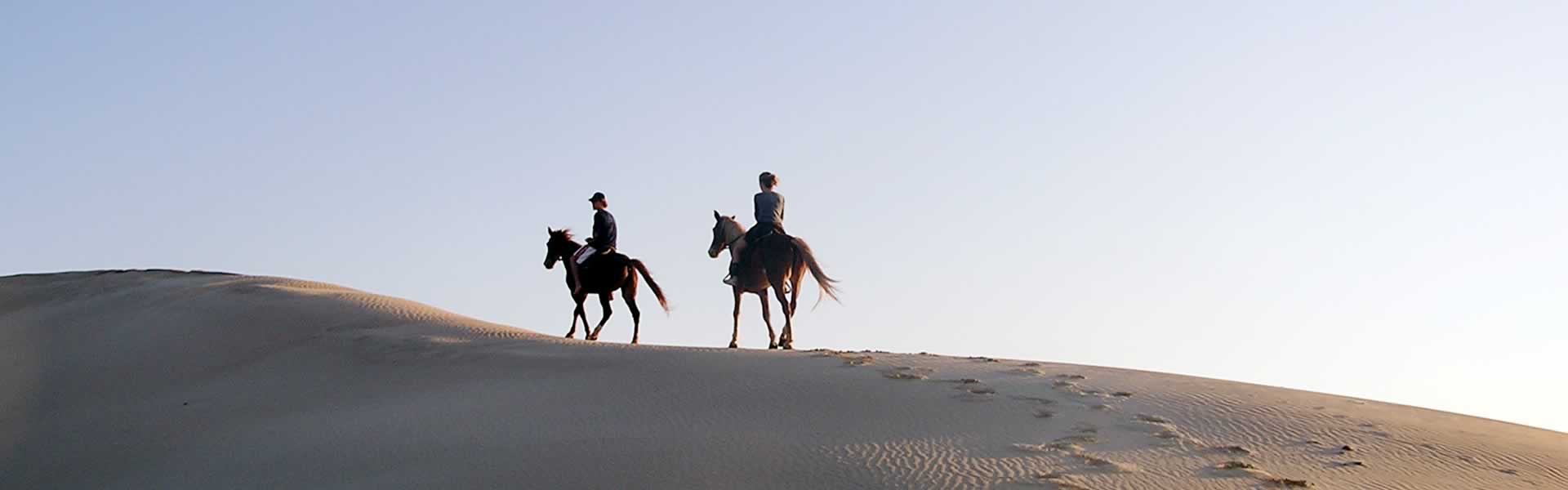 Beach Horse Trails - Jeffreys Bay