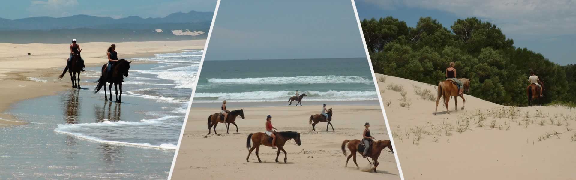 Horse Riding Jeffreys Bay