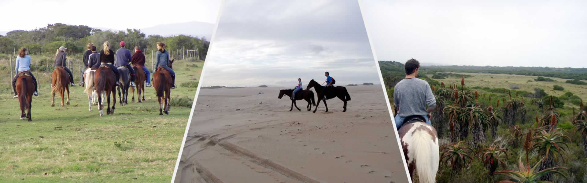 Horse Riding on Jeffreys Bay Beaches